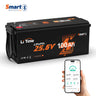 overview of litime 24 Volt 100Ah bluetooth smart lithium battery