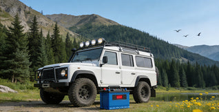 4wd battery
