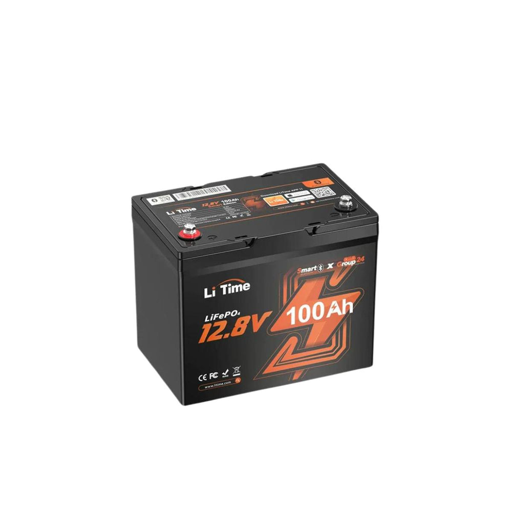 LiTime 12V 100Ah Group 24 Lithium Battery