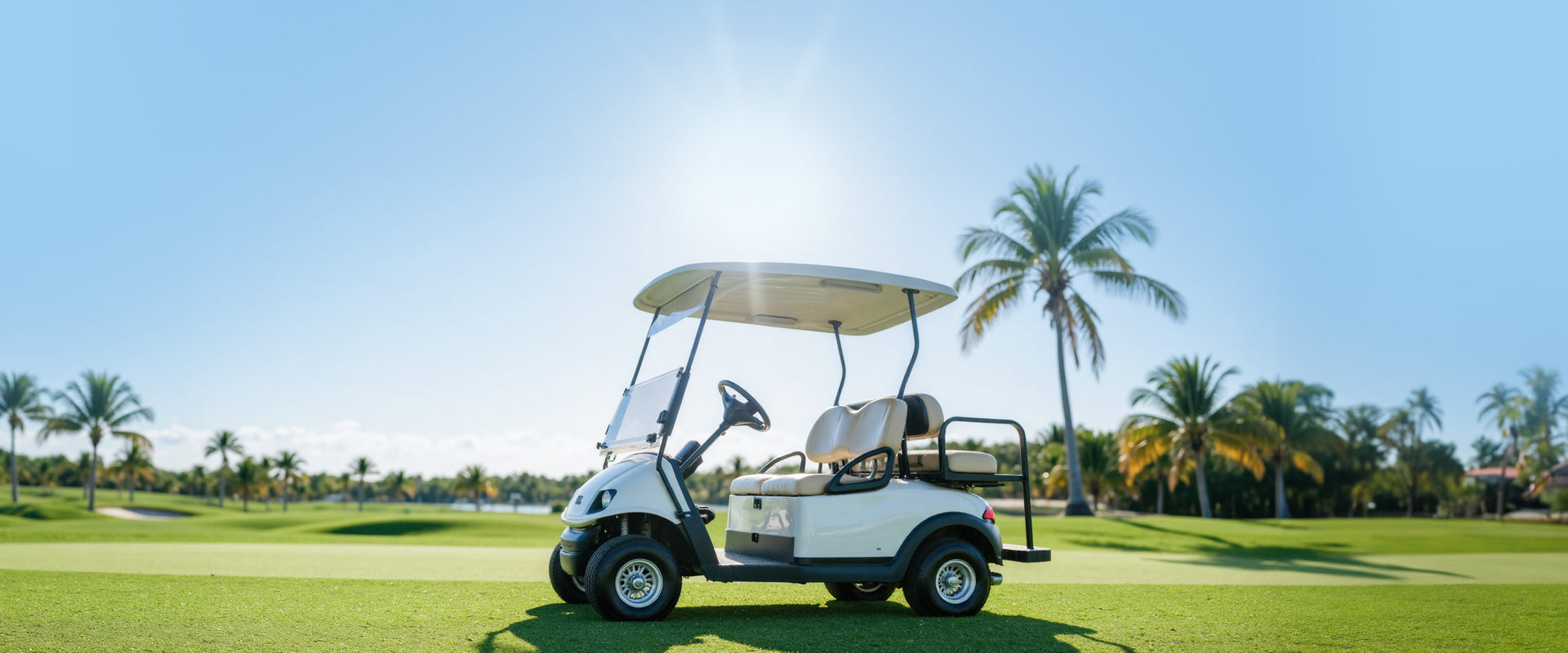 Golf Cart Batteries