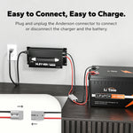 LiTime 12V (14.6V) 40A Mountable Lithium Battery Charger