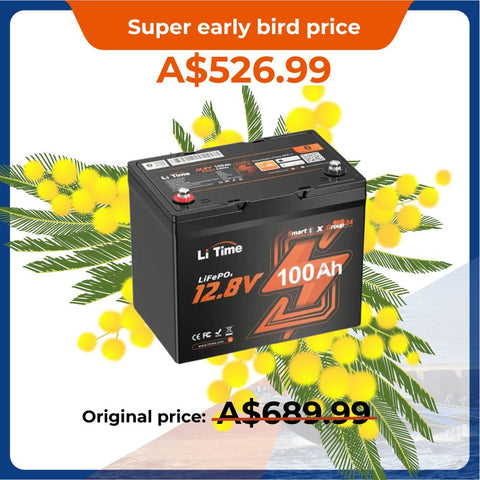 ⚡️Super early bird price A$526.99 -12V 100Ah Group 24 Bluetooth LiFePO4 Lithium Deep Cycle Battery