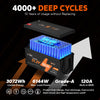 LiTime 48V 60Ah Lithium Golf Cart Battery