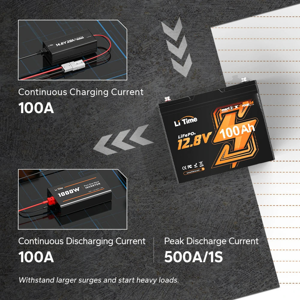 LiTime 12V 100Ah Group 24 Lithium  Battery charger