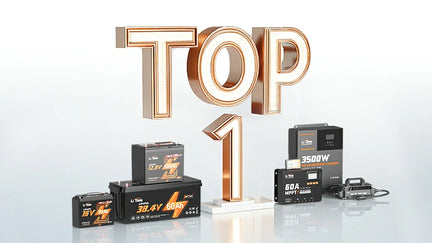 TOP 1 LiFePO4 Brand