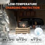 litime 100ah trolling motor battery's low temperature charging protection feature