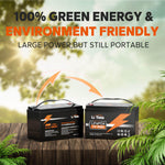 LiTime 12V 100Ah LiFePO4 Battery: 100A BMS, 1280Wh Energy - Litime-AU